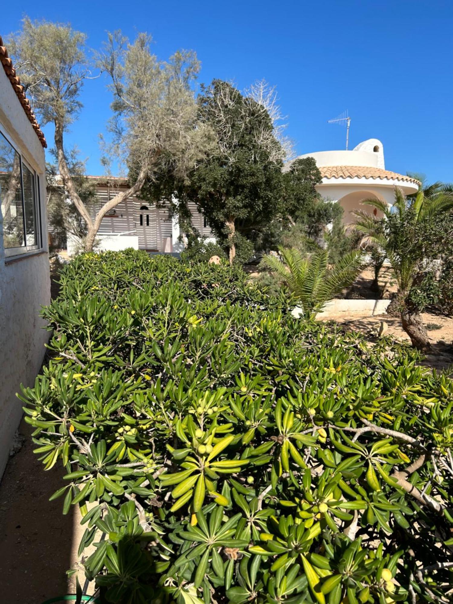 Oasi Di Casablanca 호텔 람페두사 외부 사진