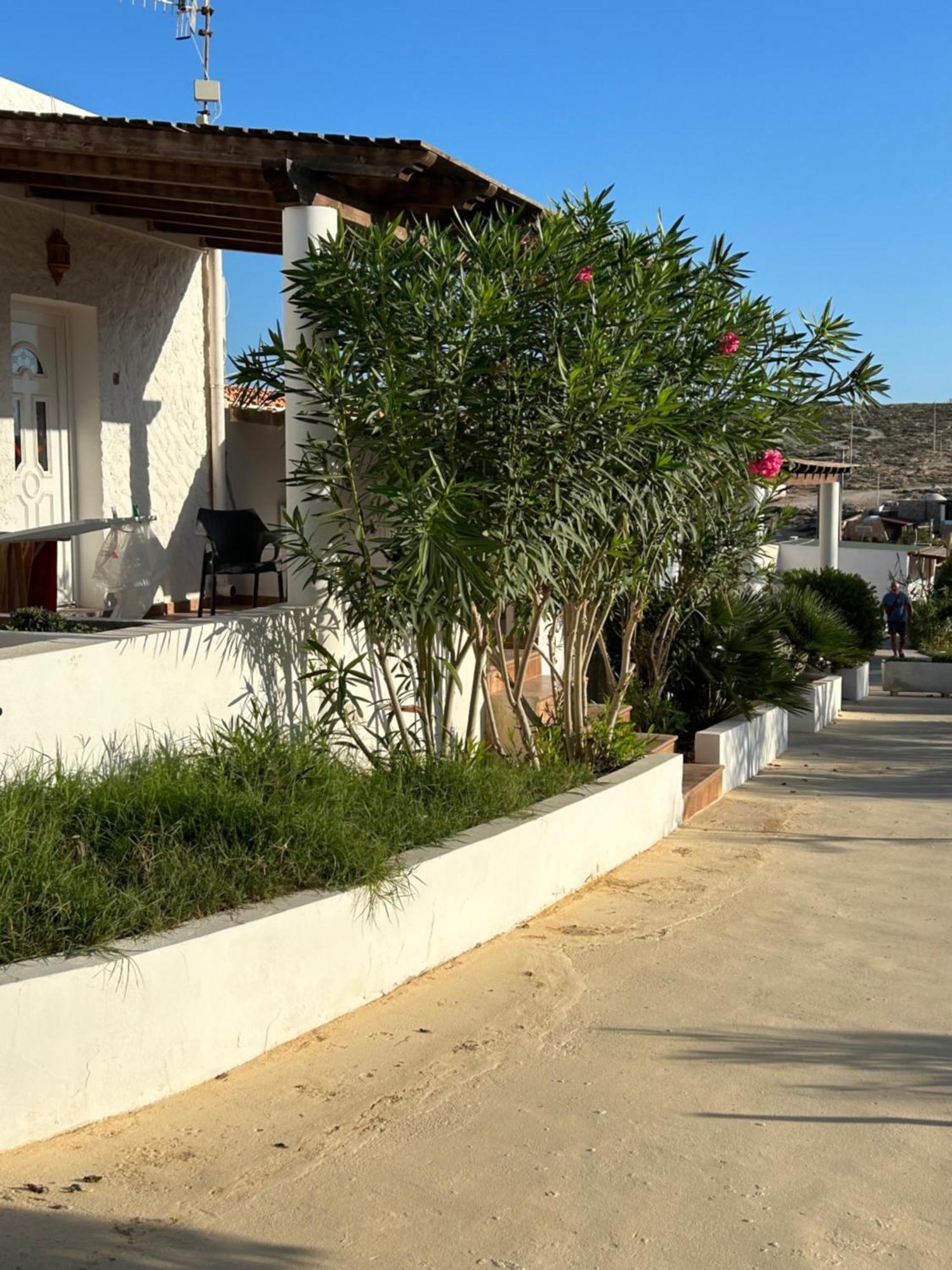 Oasi Di Casablanca 호텔 람페두사 외부 사진