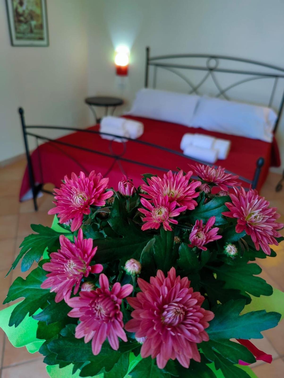 Oasi Di Casablanca 호텔 람페두사 외부 사진